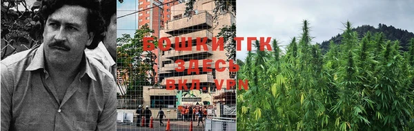 экстази Арсеньев