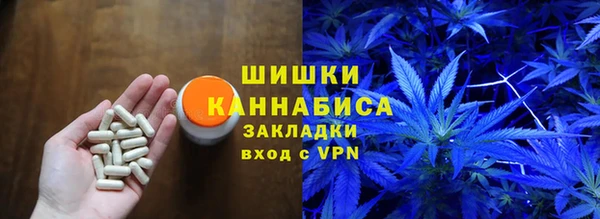 spice Аркадак